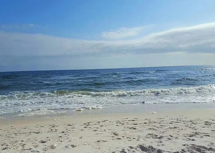 Salt & Pine * Pensacola